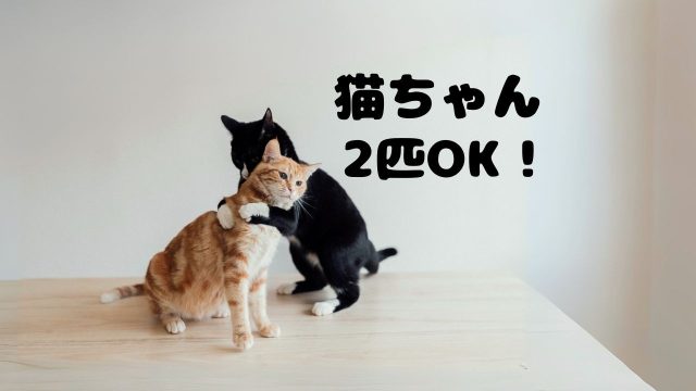 猫　2匹以上飼育OKなお部屋をセレクト！